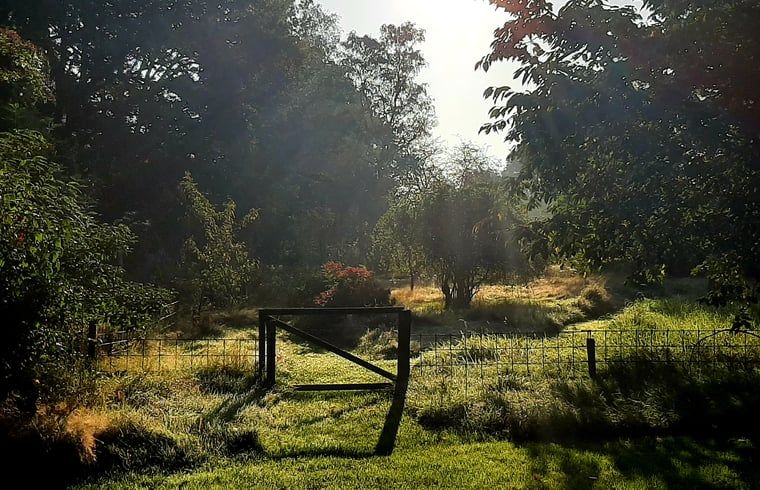 Guest house 710204 - Holiday property Rijk van Nijmegen - Vakantiehuis in Malden