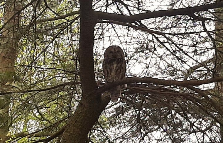 Guest house 710204 - Holiday property Rijk van Nijmegen - Vakantiehuis in Malden