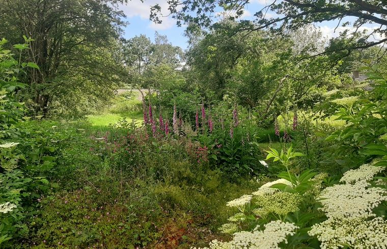 Guest house 710205 - Holiday property Rijk van Nijmegen - Huisje in Malden