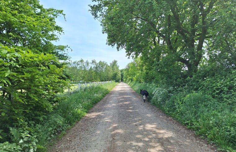 Guest house 710205 - Holiday property Rijk van Nijmegen - Huisje in Malden