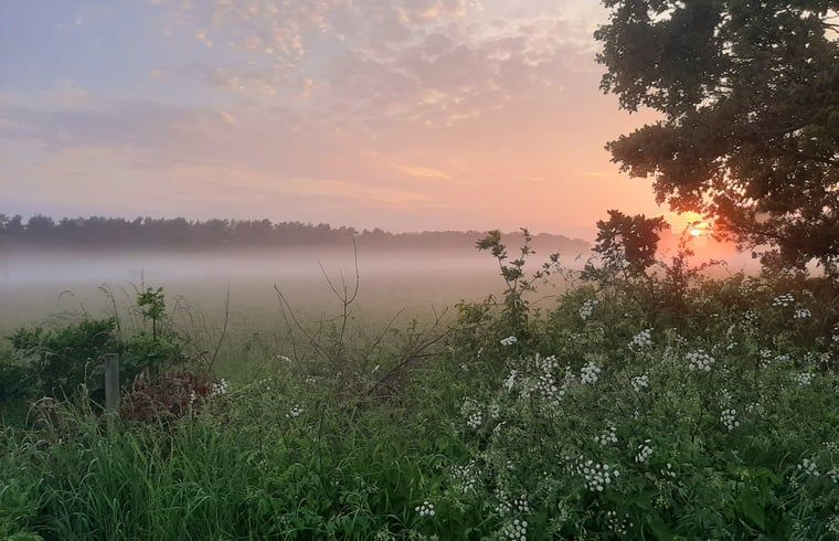 Guest house 710205 - Holiday property Rijk van Nijmegen - Huisje in Malden