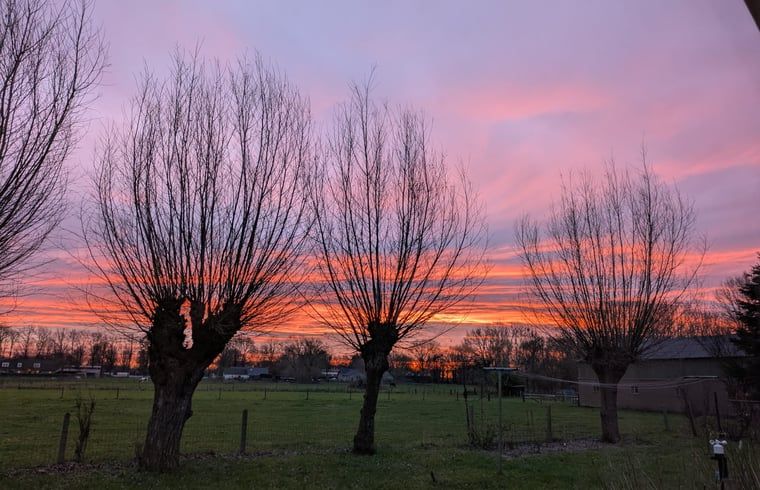 Unterkunft 711709 - Ferienhaus Rijk van Nijmegen - Huisje in Overasselt