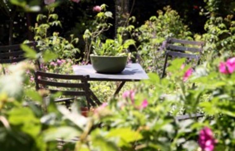 Geniessen Sie den ruhigen Garten im Holiday home in Balgoij, einem charmanten Ferienhaus in Rijk van Nijmegen, Gelderland.