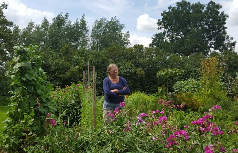 Geniessen Sie den bluehenden Garten in Holiday home in Balgoij, einem ruhigen Ferienhaus in Rijk van Nijmegen, Gelderland.