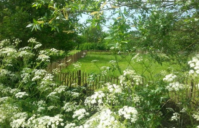 Entspannen Sie sich in der natuerlichen Umgebung des Ferienhauses in Balgoij, Gelderland, mit Blick auf gruene Wiesen und bluehende Pflanzen.