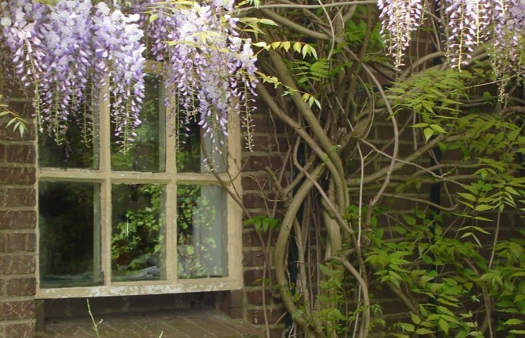 Unterkunft 712101 - Ferienhaus Rijk van Nijmegen - Vakantiehuis in Balgoij