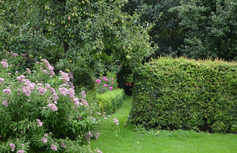 Unterkunft 712101 - Ferienhaus Rijk van Nijmegen - Vakantiehuis in Balgoij