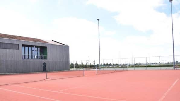 Picture 6