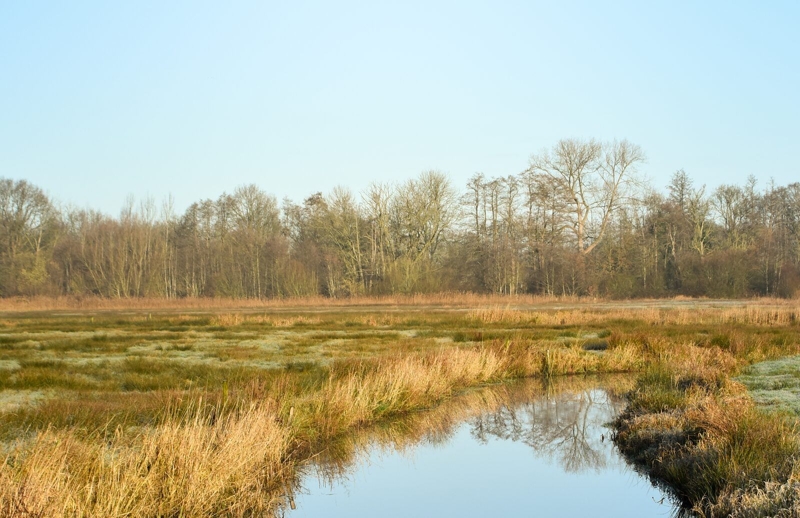 Image 20