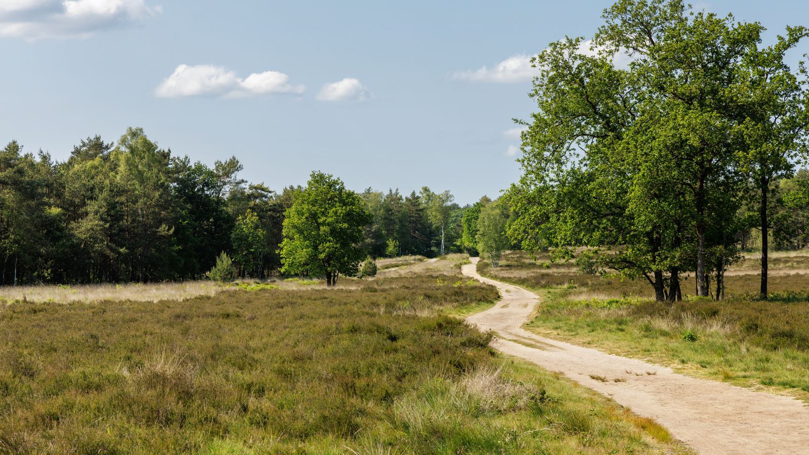 Image 25