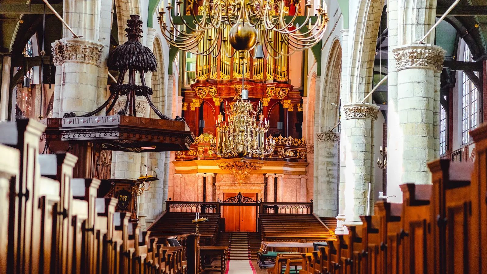 Picture 23