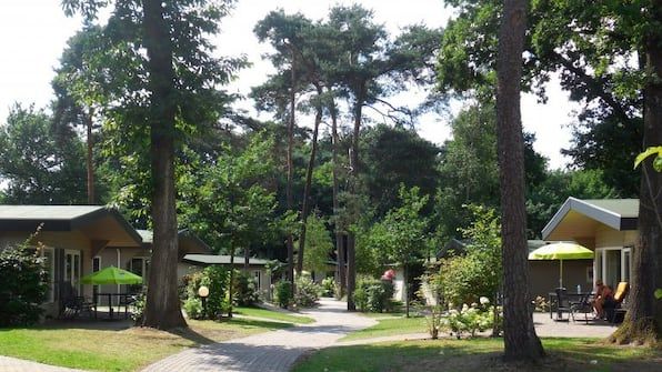 Foto 20