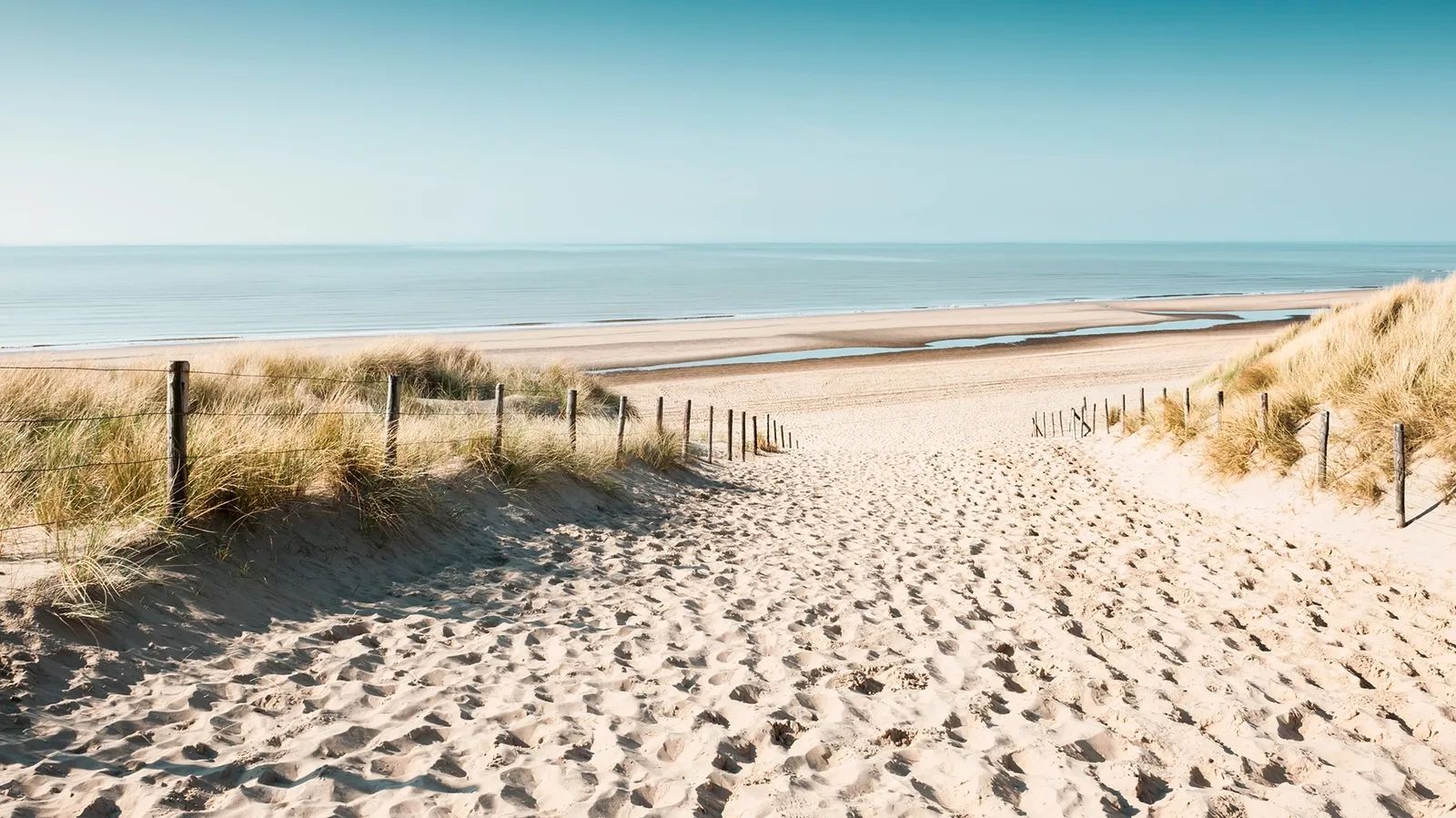 Picture 16