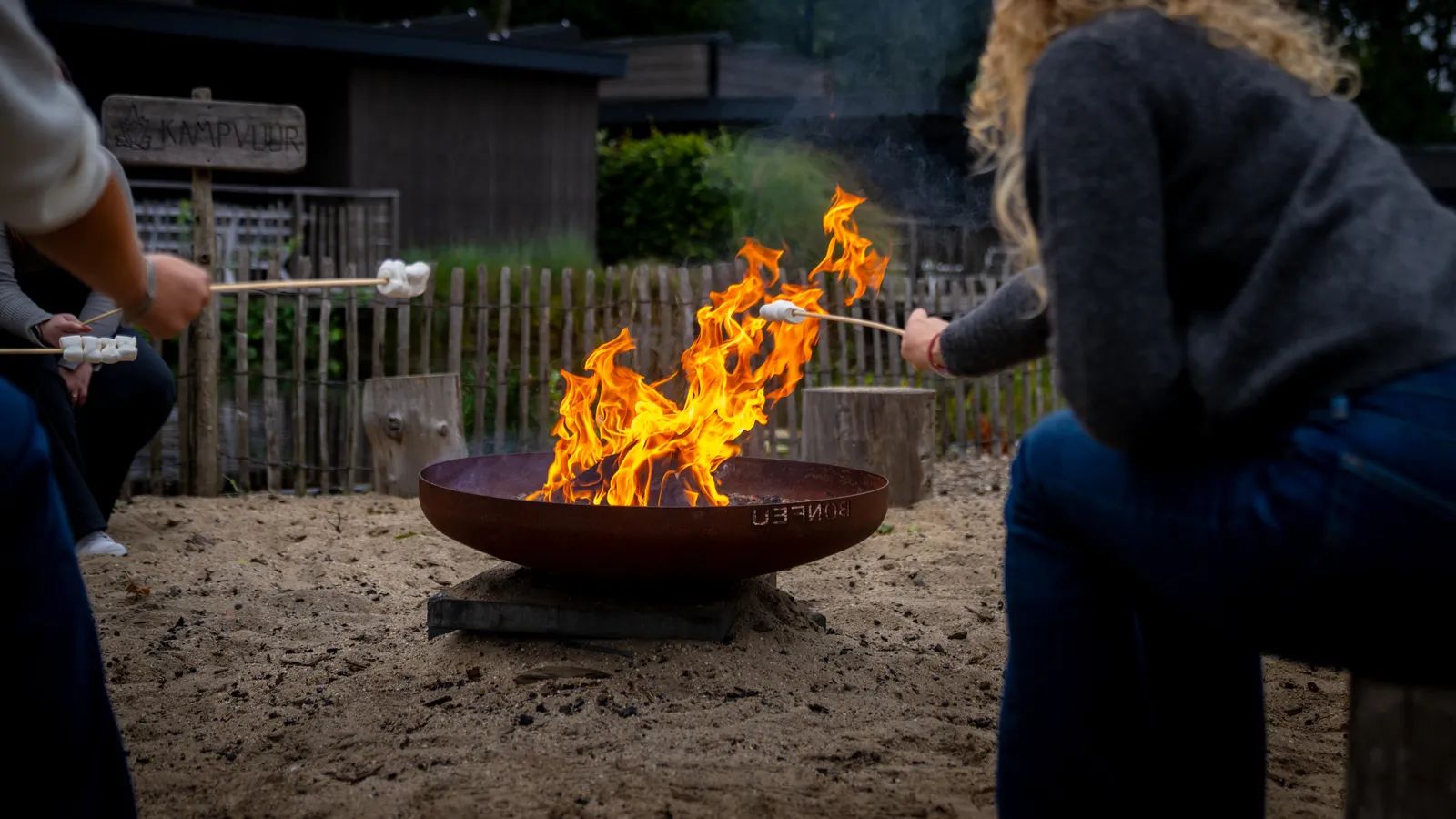 Picture 24