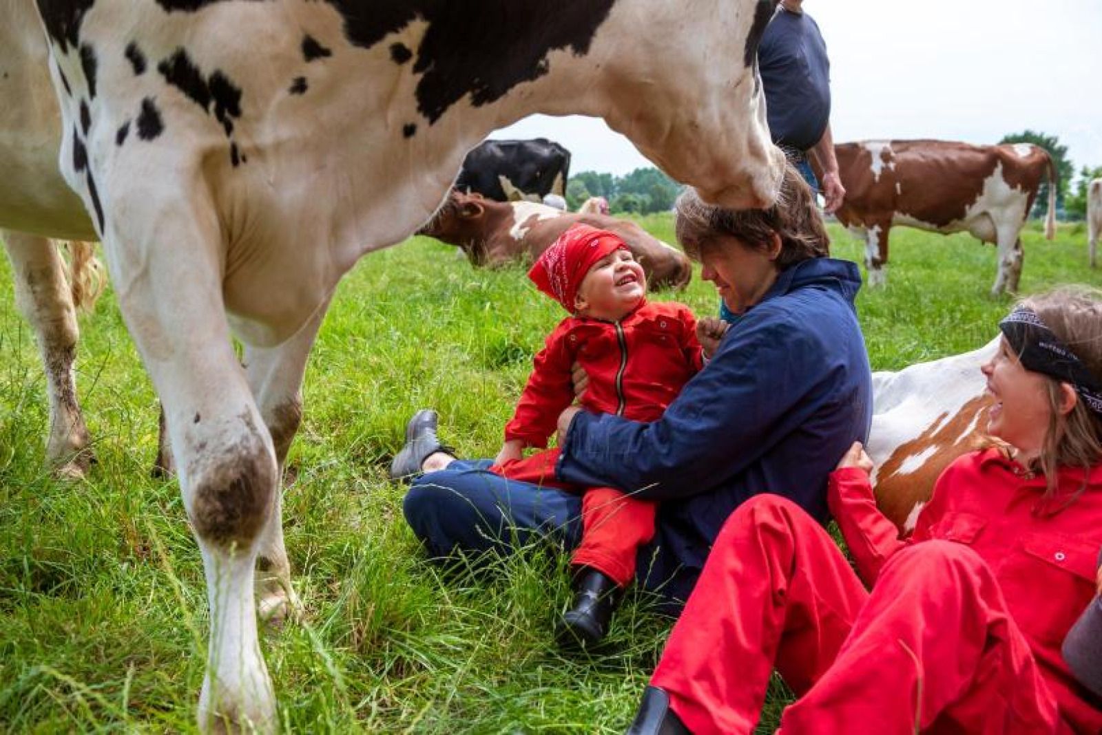 Picture 7