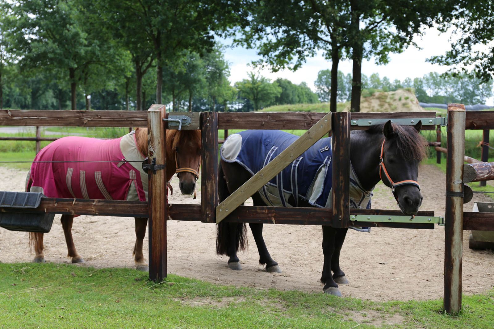 Picture 8