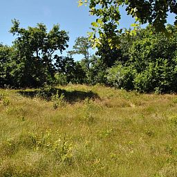 Natuerliche Umgebung rund um das Ferienhaus Velduil in De Cocksdorp Texel, ideal zum Entspannen.