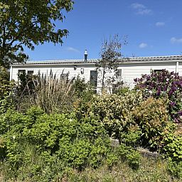 Unterkunft 010119 - Ferienhaus Texel - Chalet Meidoorn