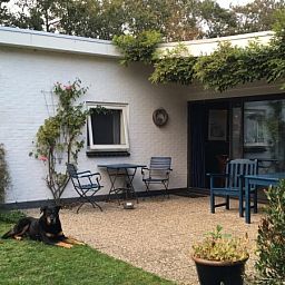 Ontspan op het terras van Bungalow Slufterduin - De Blauwe Skor in De Cocksdorp, Texel, omgeven door groene natuur en rust.
