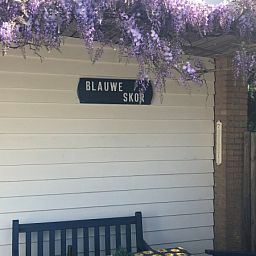 Bungalow Slufterduin - De Blauwe Skor in De Cocksdorp, Texel, met terras en paarse bloemen voor een ontspannen vakantiehuiservaring.