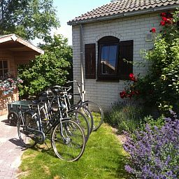 Guest house 010153 - Bungalow Texel - Heerlijk vakantiehuis