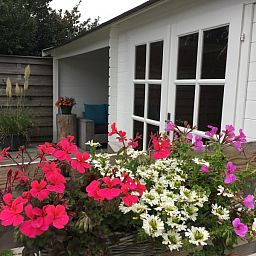 Blumen im Garten des Ferienhauses Jutter, De Koog, Texel, Waddeninseln.