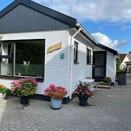Aussenbereich des Ferienhauses Jutter, De Koog, Texel mit bunten Pflanzen.