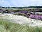 Verblijf 0102321 • Vakantiewoning Texel • Stappeland - De Kemphaan  • 10 van 11