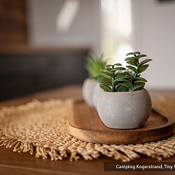 Guest house 010263 - Holiday property Texel - Tiny House