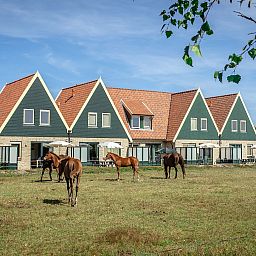 Unterkunft 0102973 - Ferienhaus Texel - Landleven vakantiehuis 83
