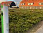 Verblijf 0104113 • Vakantiewoning Texel • Huisje in Den Burg  • 10 van 21
