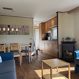 Unterkunft 0104159 - Ferienhaus Texel - NH010