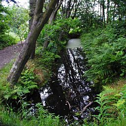 Unterkunft 0104159 - Ferienhaus Texel - NH010