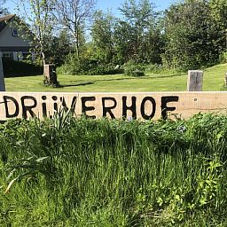 Eingang zum Ferienhaus 5 Persoons in Den Burg Texel, umgeben von einer gruenen Umgebung auf den Watteninseln.