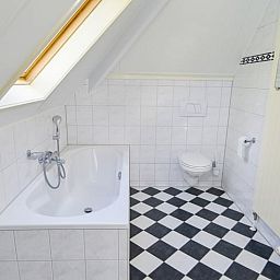 Stijlvolle badkamer met toilet in Vakantiehuis in Den Burg, Texel