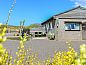 Unterkunft 010516 • Ferienhaus Texel • De Uil  • 1 von 11