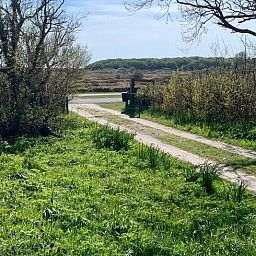 Quiet access road to Cottage in Den Hoorn, vacation home on Texel, surrounded by nature.