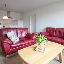 Gemuetliche Sitzecke im Ferienhaus Grietje, Den Hoorn, Texel mit roten Ledersofas und Couchtisch aus Holz.