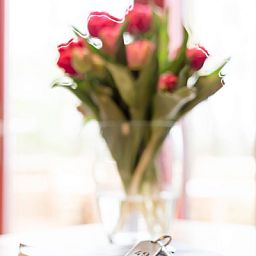 Atmospheric details in Type I - No. 49 Kragenmaker, Oosterend Texel, vacation home with flowers and books on the Wadden Islands.