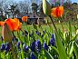 Unterkunft 011311 • Bungalow Texel • 't Bollenveld - Iris  • 12 von 12