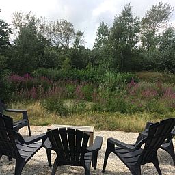 Entspannen Sie sich auf der Terrasse des Ferienhauses Vijverhof fuer 6 Personen in De Dennen, Texel, mit Blick auf die ueppige Natur der Watteninseln.