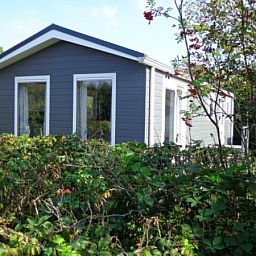 Charming vacation home Vakantiepark de Bremakker in De Dennen Texel with natural surroundings.