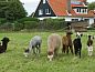 Unterkunft 011801 • Ferienhaus Texel • Tyeslemore  • 7 von 9