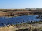 Unterkunft 031415 • Bungalow Terschelling • Smaragd  • 5 von 12