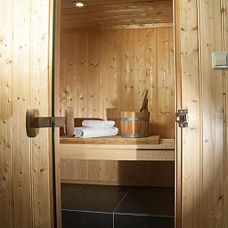 Ontspannende sauna in B&B Chez Cho, appartement in Utrecht, Utrecht eo, perfect voor wellnessliefhebbers.