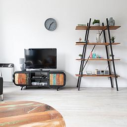 Stilvolles Wohnzimmer mit TV und Buecherregal in Amelander Kaap 126, Ferienunterkunft in Hollum, Ameland.