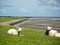 Verblijf 0403218 • Bijzondere overnachtingen Ameland • Breeze 1  • 13 van 15