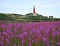 Verblijf 050121 • Vakantiewoning Schiermonnikoog • Venusschelp  • 9 van 10