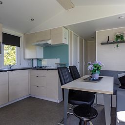 Guest house 060729 - Holiday property IJsselmeer - FR361