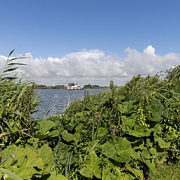 Guest house 060729 - Holiday property IJsselmeer - FR361